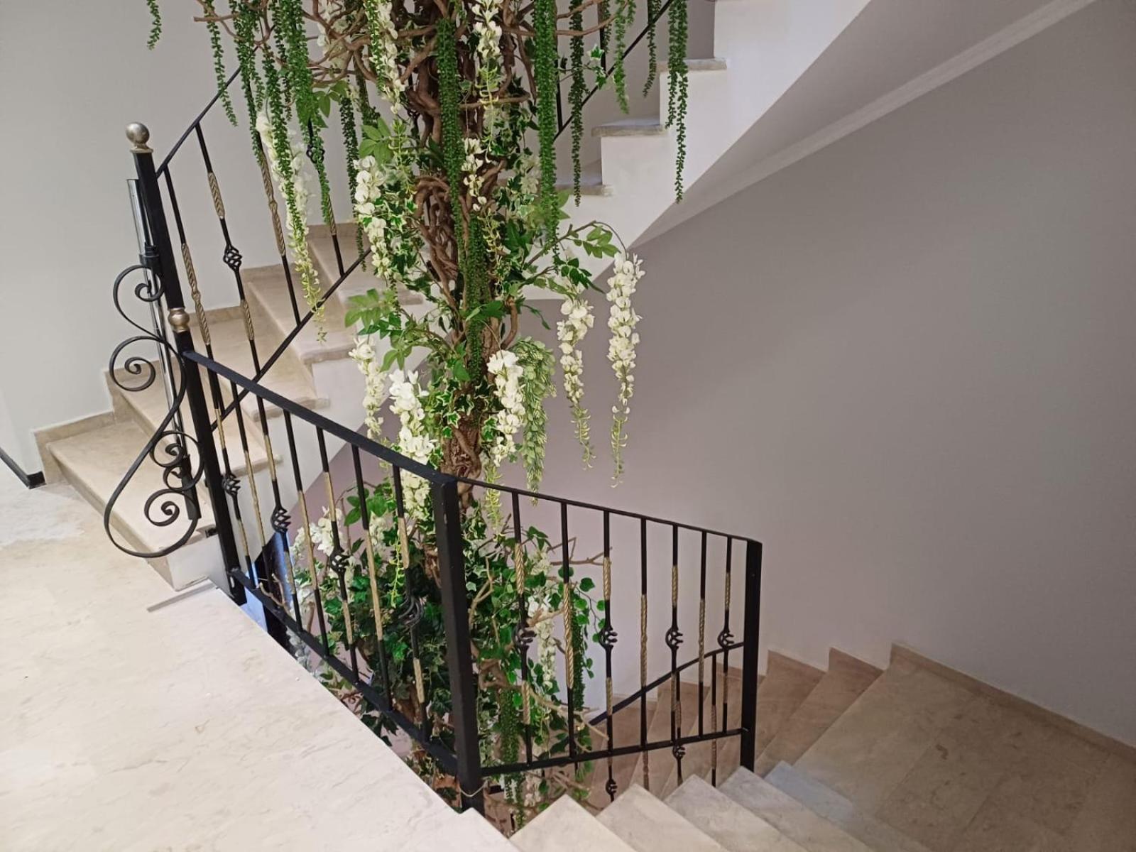 Oxygen Boutique Hotel Tiranë Ngoại thất bức ảnh